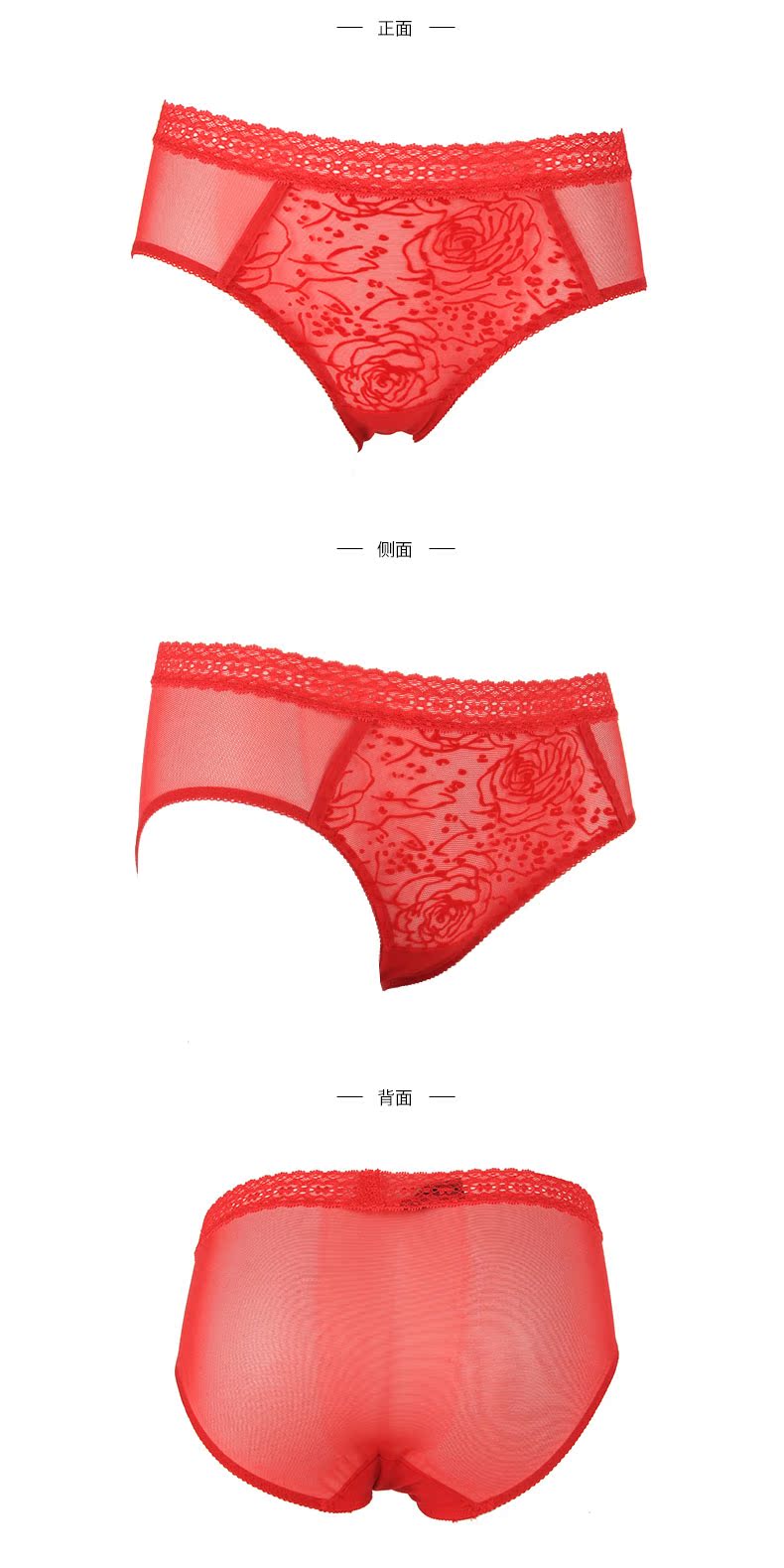 Slip EBRA K23791 - Ref 668919 Image 13