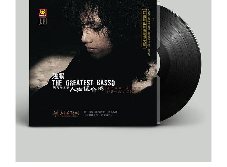 Loa siêu trầm chính hãng Zhao Peng phát âm ngày LP vinyl ghi 12 inch album ghi âm cổ điển - Máy hát 	đầu đĩa than tốt nhất	