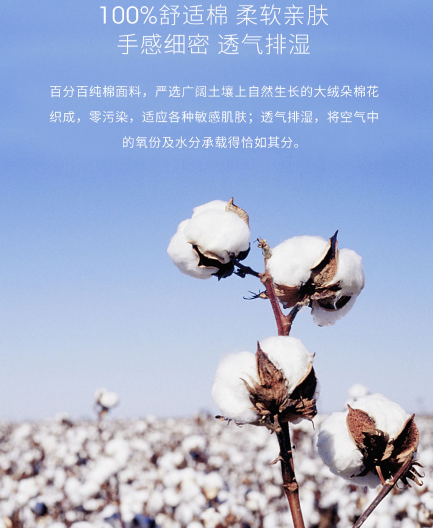Thần ngủ xuống gối khách sạn năm sao lông ngỗng gối cổ gối lõi đơn gối cổ tử cung - Gối gối tựa đầu ô tô
