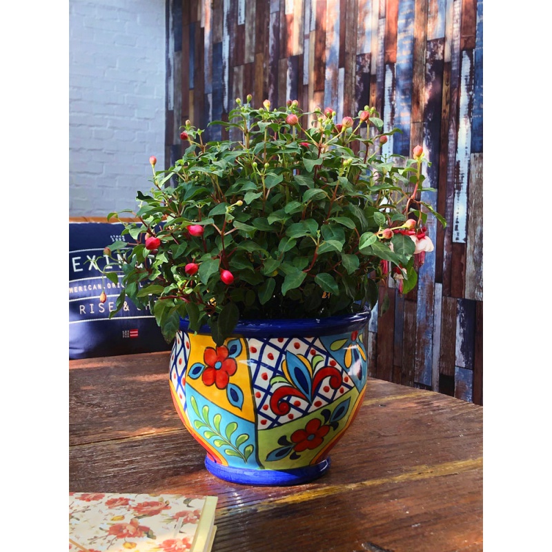 Ceramic individuality creative meat meat spell embellish fleshy flower pot pot, the plants craft flowerpot furnishing articles home outfit