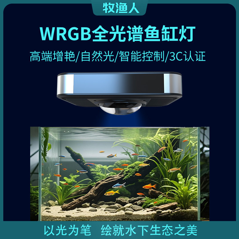 Fisherman's Aquarium Led Smart Sensor Turtle Tank Small Aquarium Automatic Sensor Turtle