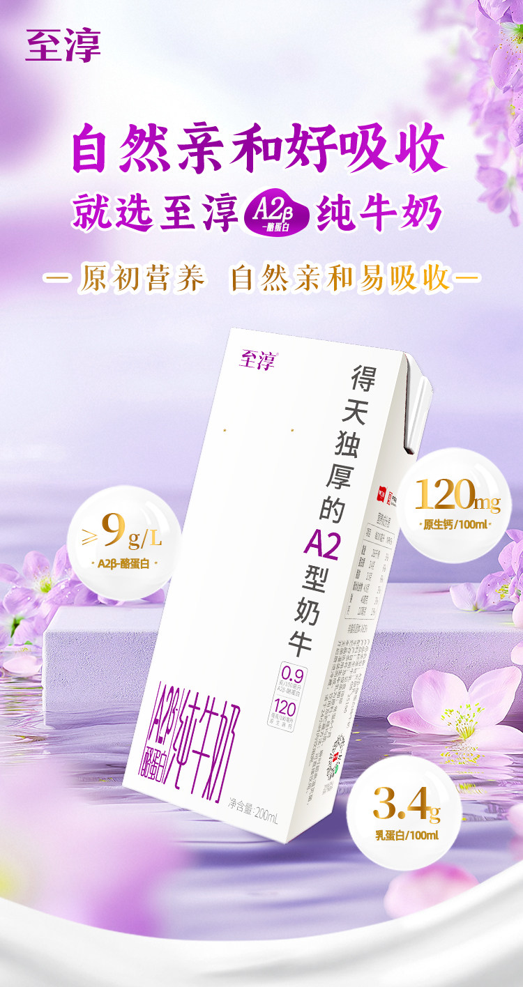 安享好物 安享B级纯奶-卫岗至淳 A2纯牛奶 国标 