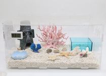 Hermit crab lazy package novice breeding acrylic terrestrial pet living breeding box equipment theme landscaping