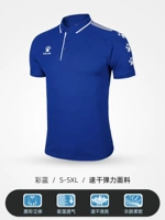 Красочный синий и белый