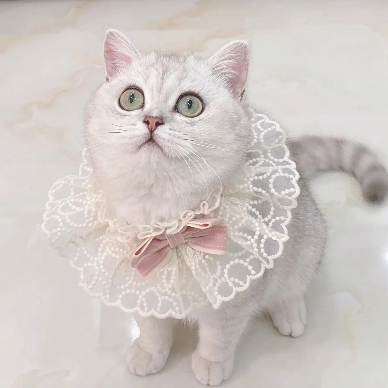 Pet cat collar puppet cat adjustable dog Koji kitten winter scarf saliva towel small bib cute