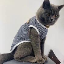 Pet British Short Blue Kitty Clothes Cool Beauty Short Autumn and anti-fall Mao Bo Autumn Winter Public Cat Handsome Young Cat Supplies
