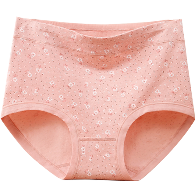 Arctic velvet high waist pure cotton plush women's underwear antibacterial
