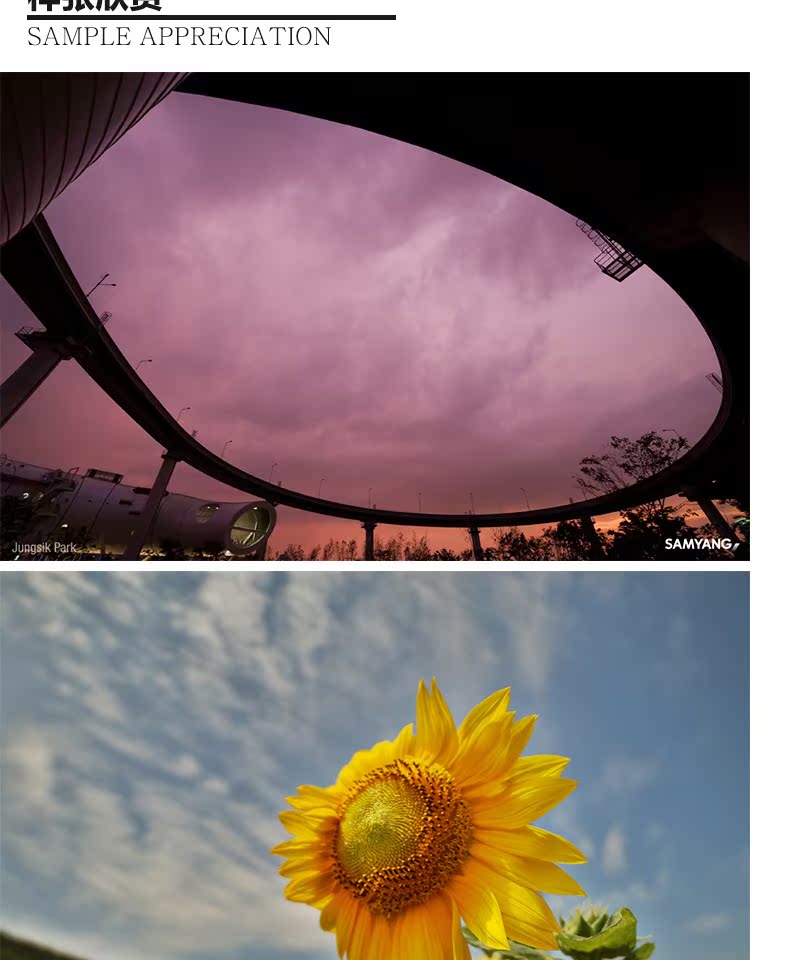 Sen Yang Samyang Samyang 14mm F2.8 siêu góc rộng ống kính full-frame SLR khẩu độ thủ công tự động - Máy ảnh SLR ống kính tele