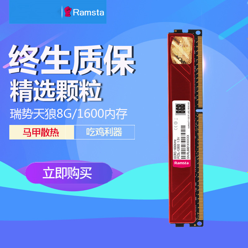 The Risetian Wolf 8G DDR3 1600 Desktop Memory Computer Memory Compatible with 1333 Machia Bar