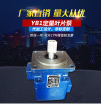 Vane pump YB-Ea-8 16 25 32 40 50 63 80 100 125 160 200 220 double-pump