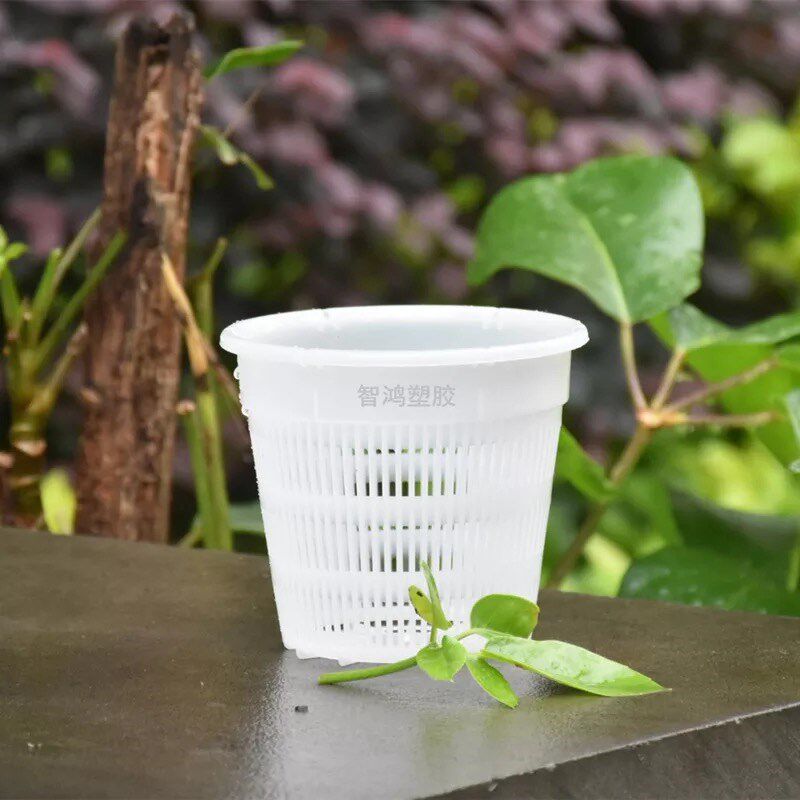 Root control pot Phalaenopsis Dendrobium orchid orchid special plastic breathable flower pot anti-rot root control device