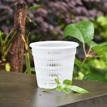 Control root basin butterfly Lanstone Broccoli Special Plastic Breathable Flower Pot Anti-Rot Root control