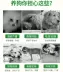 Thức ăn cho chó Phổ thông 20kg40 kg Golden Retriever Labrador Chó lớn Teddy Chó nhỏ 5 Chó con 10 - Chó Staples