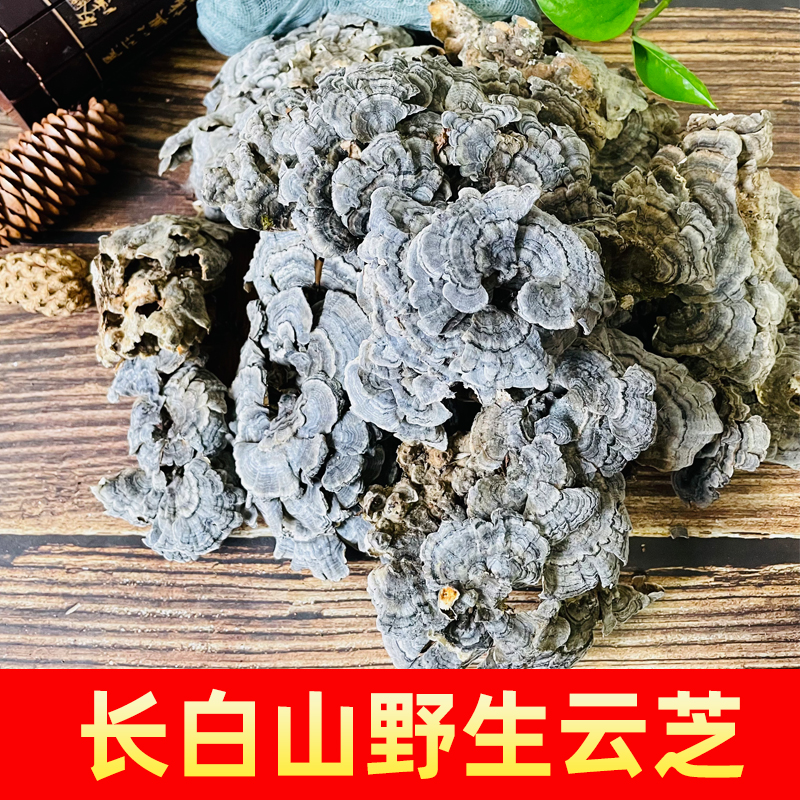 Yunzhi Changbai Mountain Wild Lingzhi Selected Wild Yellow Yunzhi Medicinal Fungus Pruned 500g