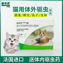 Foley in vitro anthelmintic cat flea lice tick anthelminticide drops Flyan in vitro insecticide whole box