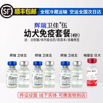 American Shuteng Pfizer Wei Jia five dog vaccine quadruple vaccination Wei Jia 5 nursery self-contained dog Universal