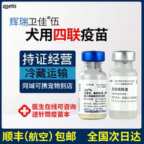 American Shuteng Pfizer Wei Jia five dog vaccine quadruple vaccination Wei Jia 5 nursery self-contained dog Universal
