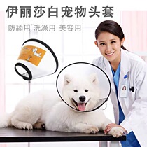 Elizabeth circle cat Hood dog hood dog head cover anti-bite and anti-scratch anti-licking pet neck collar