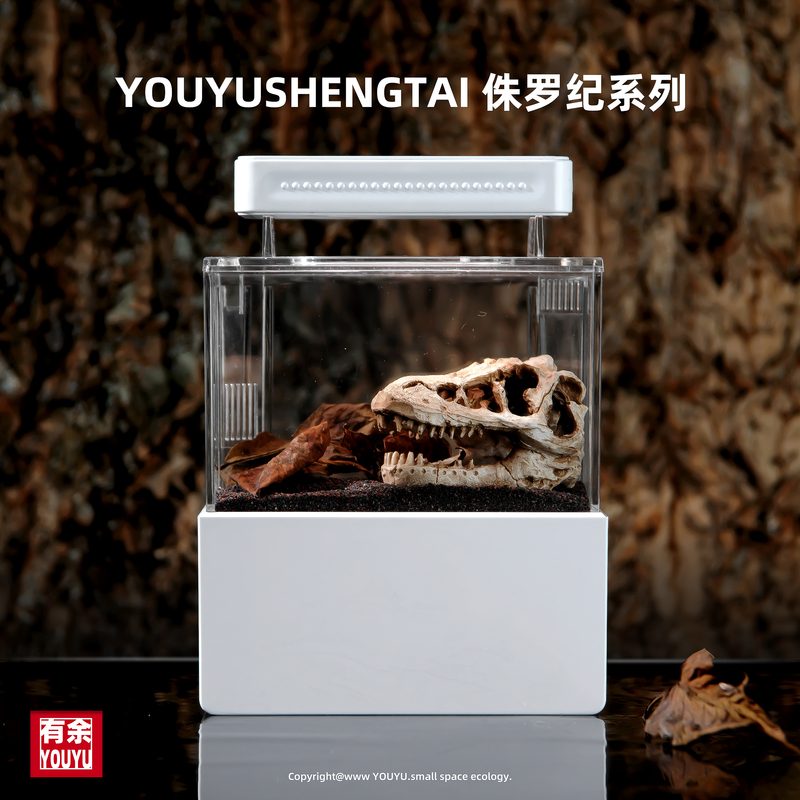 Desktop Small Mini Betta Fish Tank with Ecological Circulation, Jurassic Landscaping, Special Fish Tank for Betta Fish, Micro Landscape Small Fish Tank
