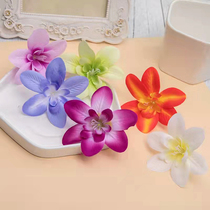 Hotel restaurant Decorative Swing Pan Flowers Cold Dish adorned with emulated ocean Orchid Mood Dish Accessories Sprinderdisc Head Dress