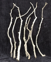 Dry branches decorative white branches peeled branches White natural branches Modeling branches dead branches Wedding clothes hangers