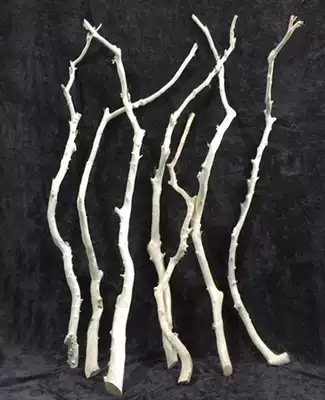 Dry branches decorative white branches peeled branches White natural color branches modeling branches dead branches wedding clothes hangers