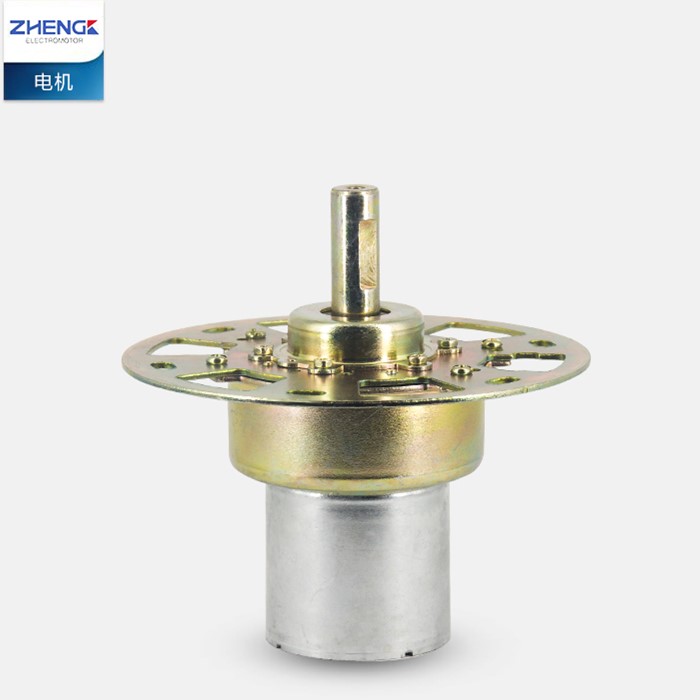 Voltage stabilizer motor ZD-3KT Zheng tehritai 38ZY25 38ZY13 3KM universal 12V