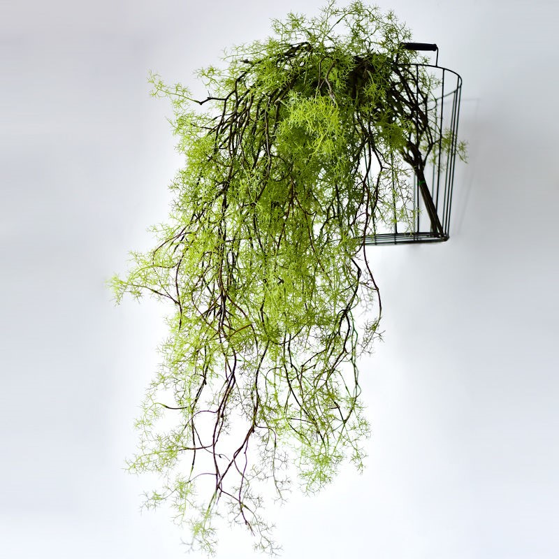 Water Grass Black Bones Mish Fake Green Planting Vines Air Conditioning Duct Winding Vine Decoration Emulation Plant Plastic Suspended Ceiling Hanging