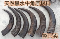 Authentic black buffalo horn raw material natural horn diagonal horn comb horn comb horn swing piece raw material unprocessed raw ecology