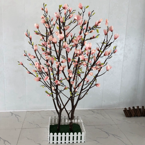 Моделирование магнолия дерево земля земля цветочные окна