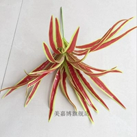 Золотая граница красные листья твердые орхидеи 5 брендов куча