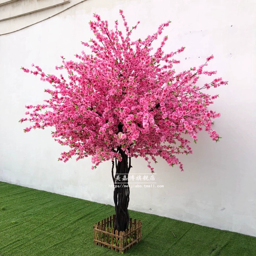 Моделирование персикового цветов крупно -кремневое цветет персика