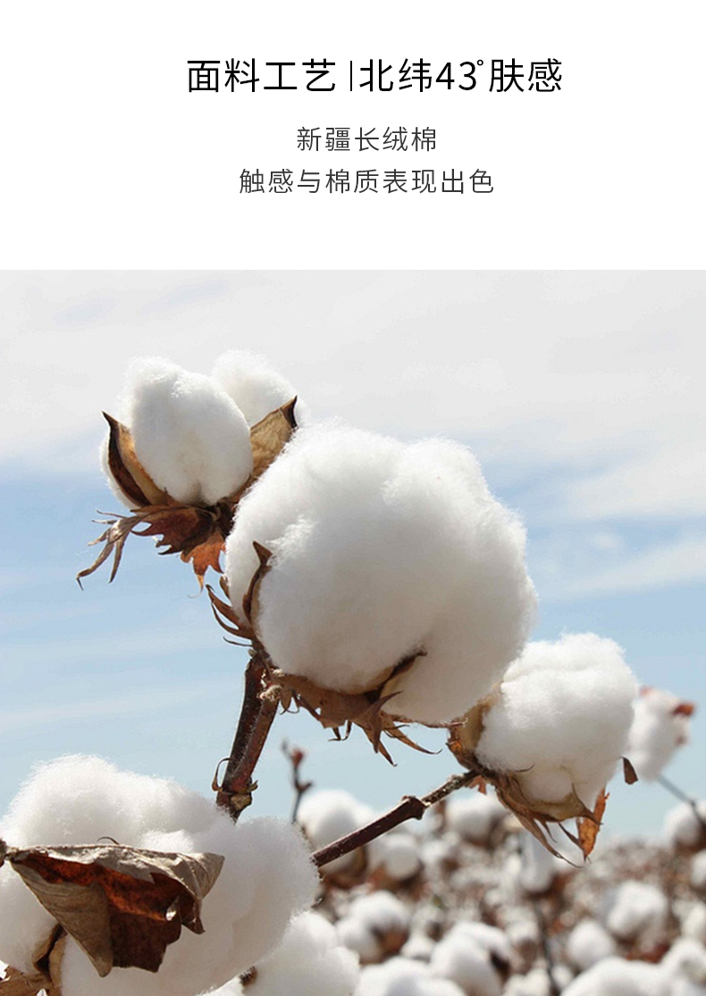 Vớ nữ vớ Hàn Quốc trong ống phiên bản Hàn Quốc của ngày thu gió Hàn Quốc hai thanh dài vớ cotton retro cá tính - Vớ bông vớ cotton đẹp