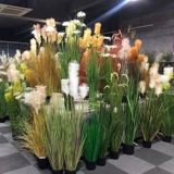 Моделирование тростниковой трава, собачья хвостовая трава, трава, травяная горшка, сушеные цветы, пувей, внутренняя сеть красного декоративного украшения