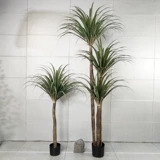 Зеленая кровя дракона крови скандинавское моделирование зеленое растение шелковое дерево горшечное растение