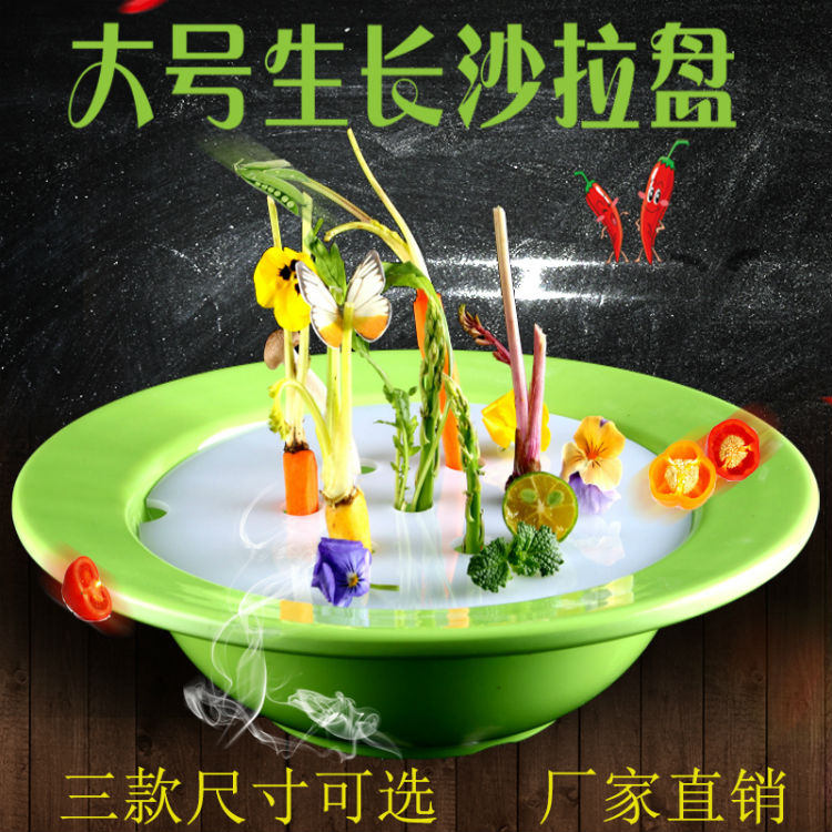 Internet celebrity barbecue restaurant plant automatic growth salad tableware all things green grassland mood vegetables will grow plate