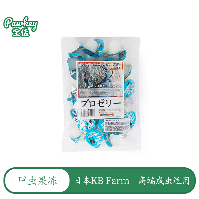 Kb Farm Beetle Jelly Japan Import Kano Long Sword Satan God of War Sea God Sumatra Palawan Giant Flat Beetle