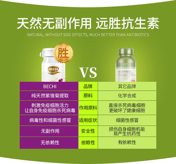 Purple Chrysanthemum details_05.jpg