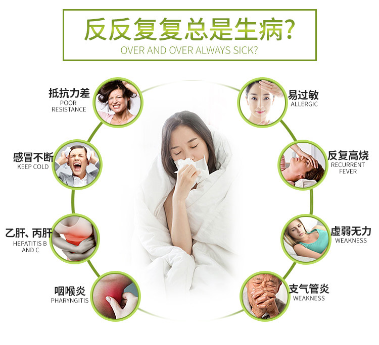 Purple Chrysanthemum details_02.jpg