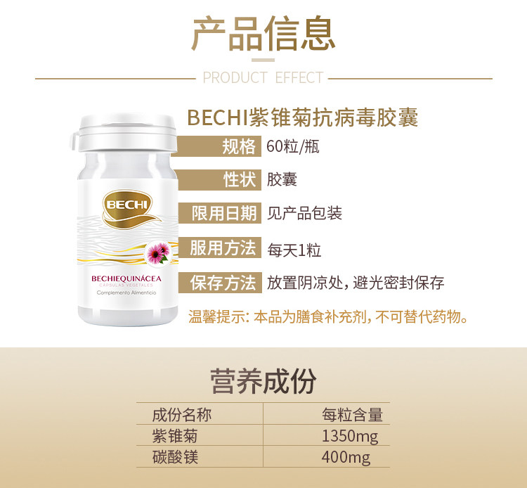 Purple Chrysanthemum details_11.jpg