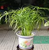 Товары от 苏馨花之语中趣专卖店