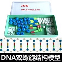 DNA double helix structure model component J3242 DNA biological genetic instrument