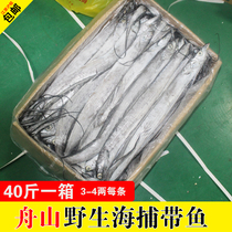 Fresh boat frozen striped fish 40 kg commercial wild sea catch large long strip fish whole box deep sea sea sea production Zhoushan knife fish wholesale