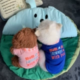 Double 11 Снижение повышения (без отступления или изменений) Корейская домашняя одежда собаки и кошки и кошки осень и зимние эластичные T -рубашки