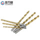 Titanium-coated high-speed steel twist drill bit electric drill for stainless steel drill bit extended metal drill bit 0.5/1/2/6mm