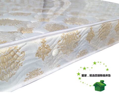 phó chủ tịch và một trăm nệm thương hiệu Lisi Man miễn phí vận chuyển bền 10 cm đơn hoặc kép bằng thép lò xo nệm Simmons - Nệm nệm gấp giá rẻ