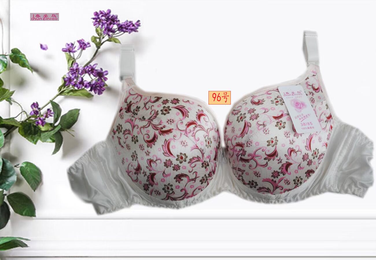 Đặc biệt hàng ngày ba dây đeo hai bên ngực 100% lụa mở rộng dây đeo mới tập hợp mùa xuân tư thế áo ngực chim lụa áo ngực đẹp
