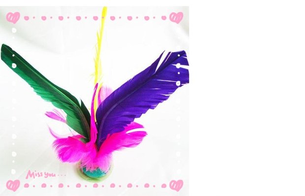 Feather duster thịt bò gân dế đáy trận đấu bọ cạp lớn kháng chiến spline 3 9,5 nhân dân tệ cung cấp đặc biệt - Các môn thể thao cầu lông / Diabolo / dân gian cầu lông vịt