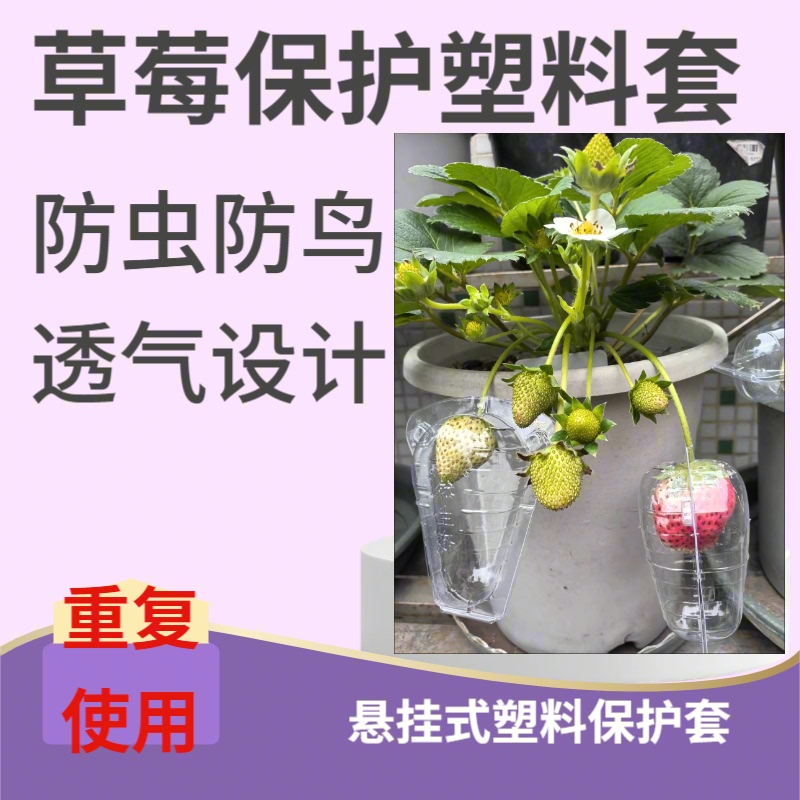 Strawberry Protective Cover Strawberry Planting Protective Shell Strawberry Anti-Bird Cover Strawberry Packaging Box Strawberry Plastic Tray