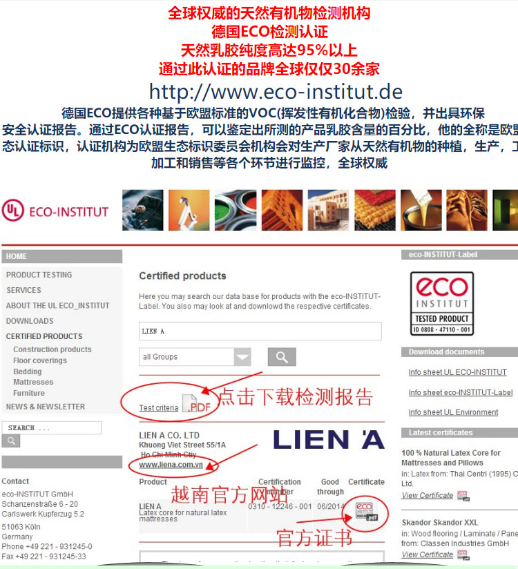 Zhi Lian Ya Fei bạn học Việt Nam Liena thấp gối cao su nữ tự nhiên Nha Trang nhập khẩu từ trẻ em phi Thái - Gối gối cho bà bầu